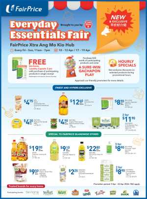 Everyday Essential Fair flyer cover