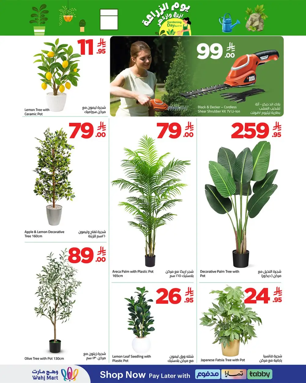 Wahj Mart Gardening Day | Tools & Planters Offers page 2