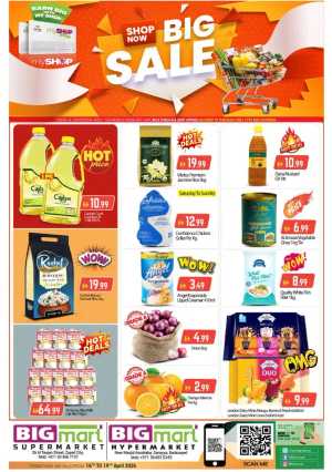 Big Mart Zayed City: Big Sale Offers | April 16 - 19, 2026 flyer cover