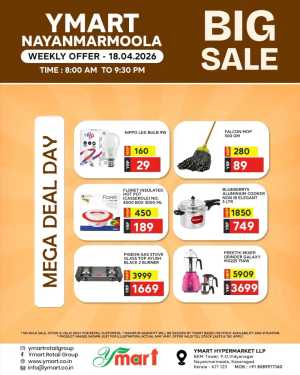 Mega Deals Day flyer cover
