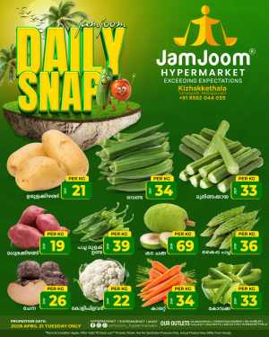 Daily snap flyer cover