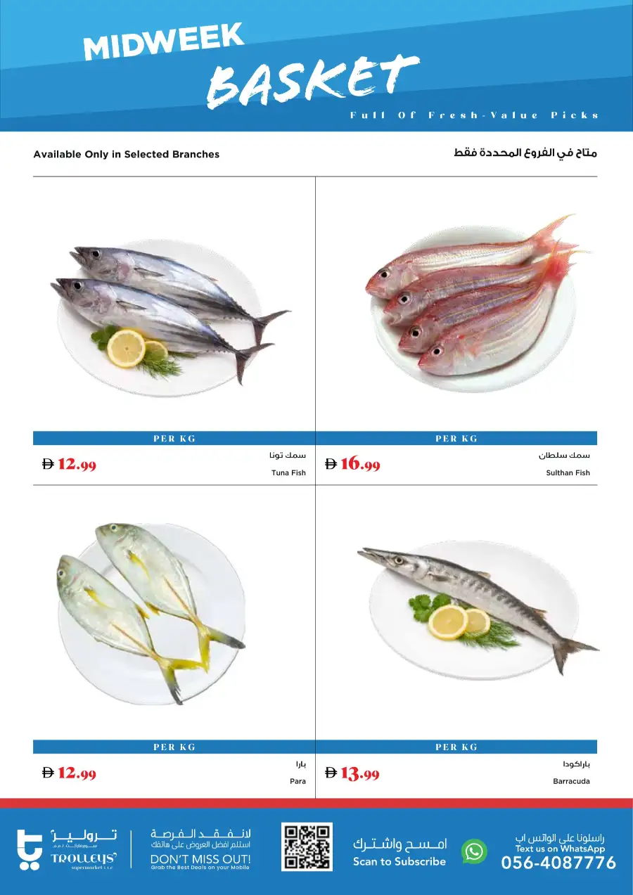 Midweek basket page 3